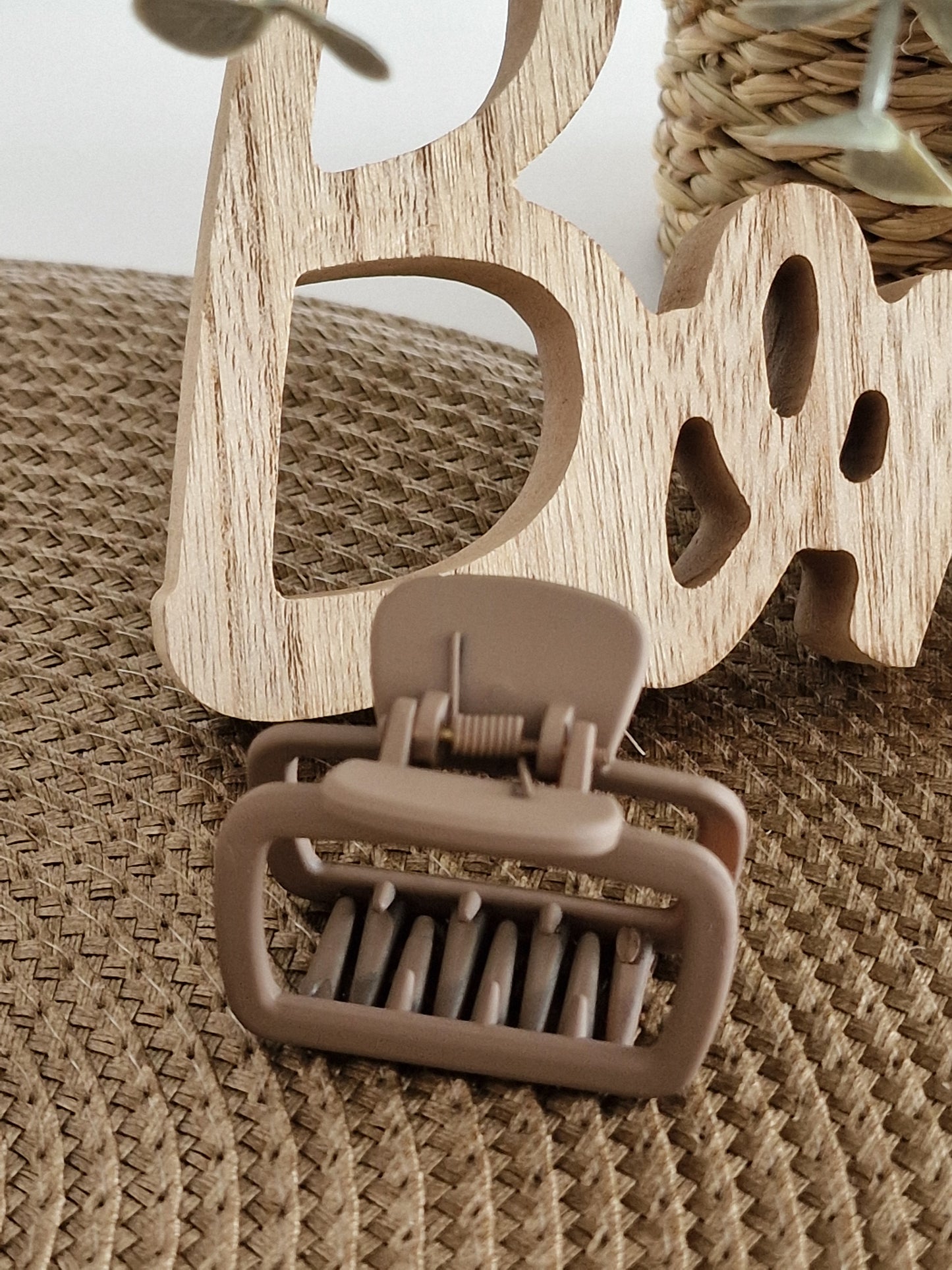 Les Accessoires à Cheveux - Pince à Cheveux Beige