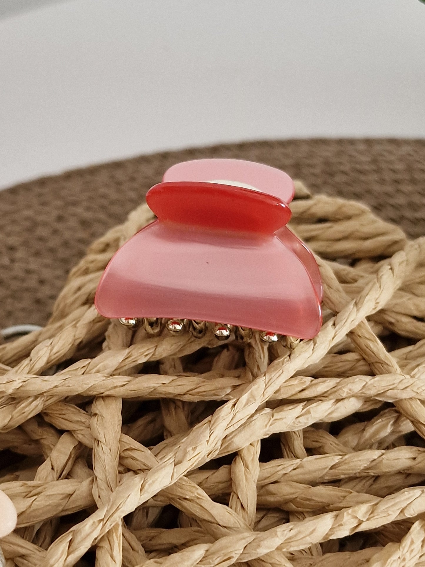 Les Accessoires à Cheveux - Petite Pince à Cheveux