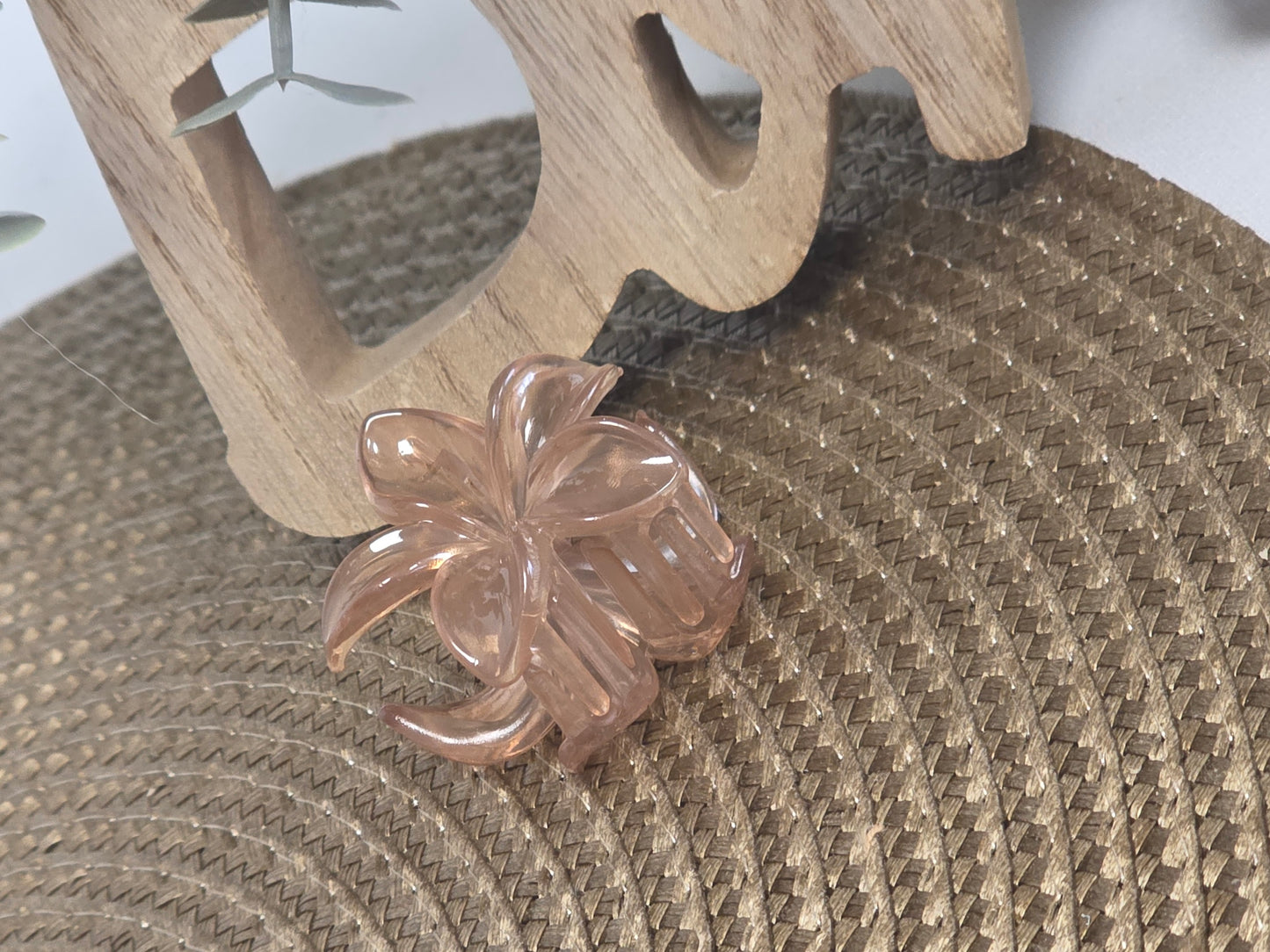 Petite Pince à Cheveux Fleur Taupe Transparent