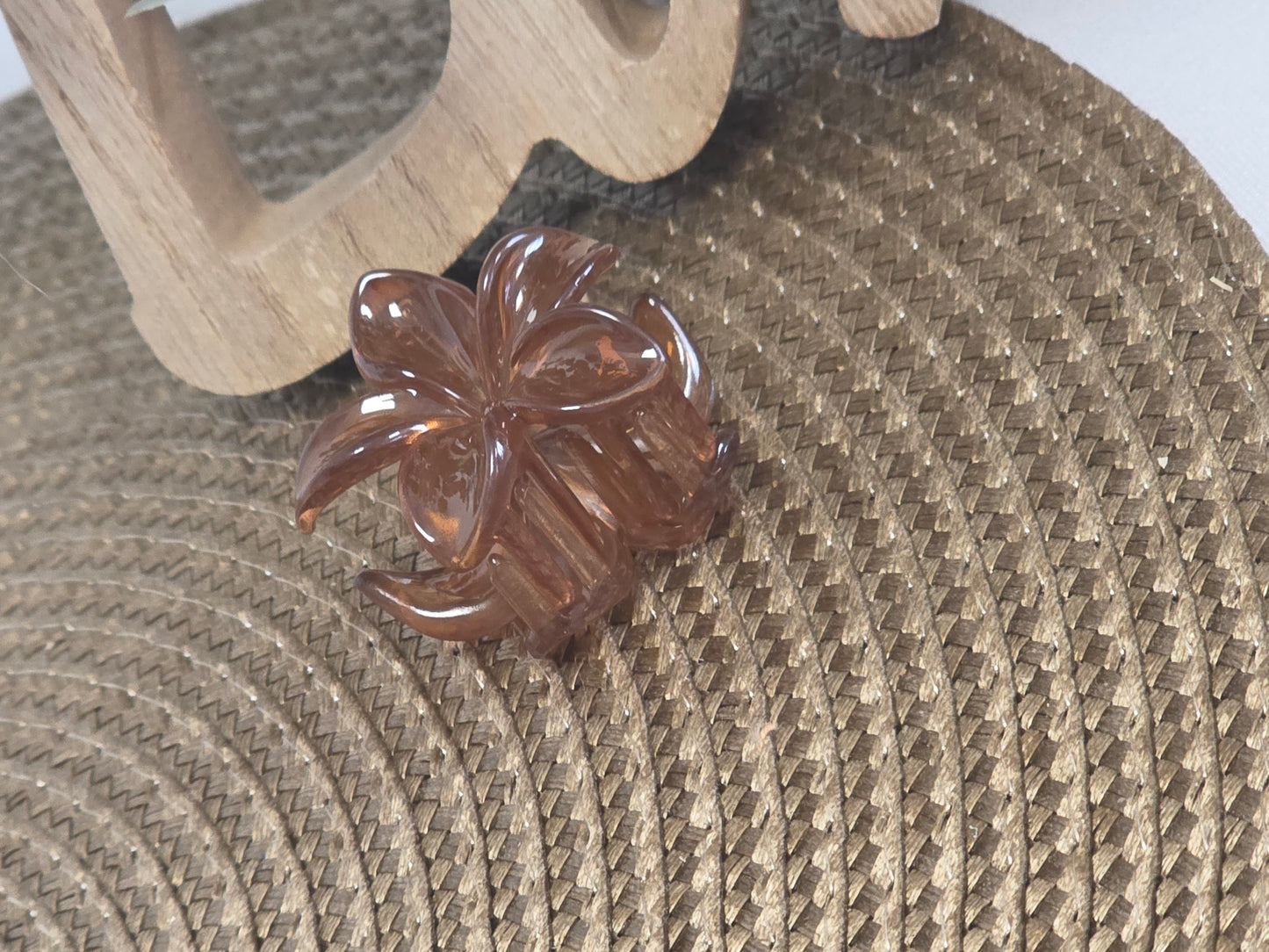 Petite Pince à Cheveux Fleur Marron Transparent