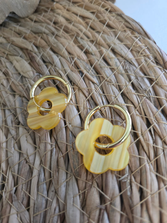 Nos Nicolettes Zébré Jaune N°9