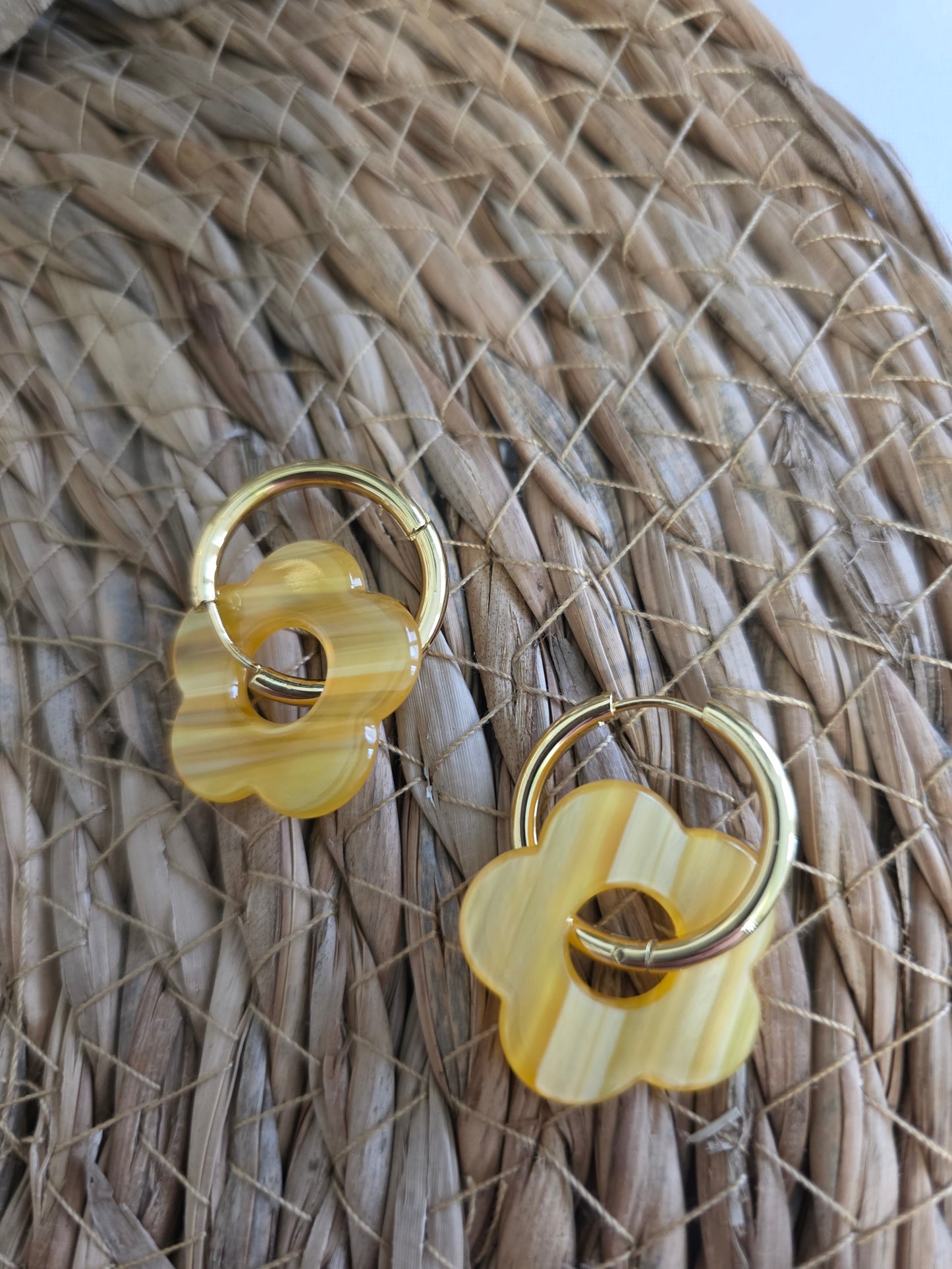 Nos Nicolettes Zébré Jaune N°9