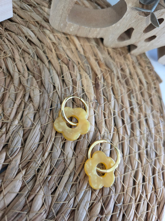 Nos Nicolettes N°11