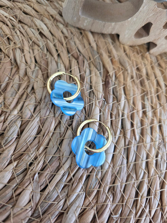 Nos Nicolettes Zébré Turquoise N°24