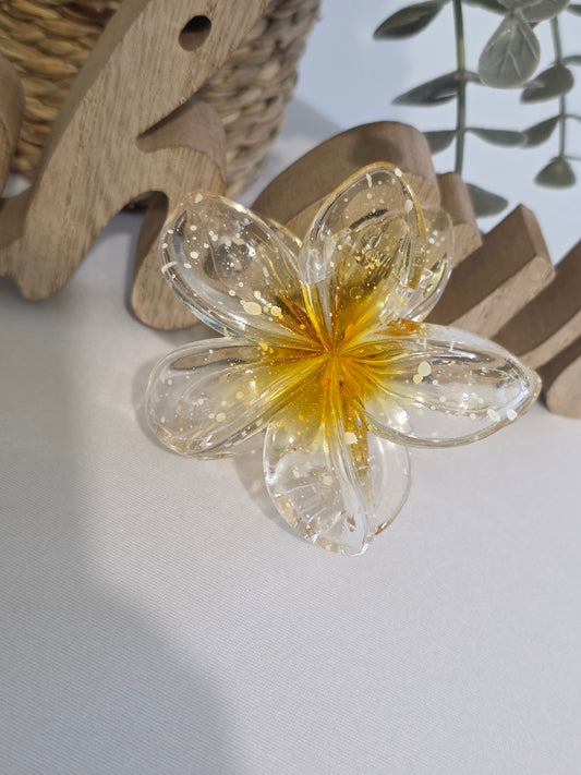 Nos Pinces à Fleur Jaune