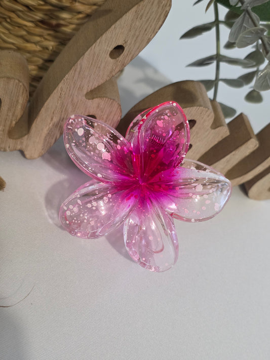 Nos Pinces à Fleur Fuchsia