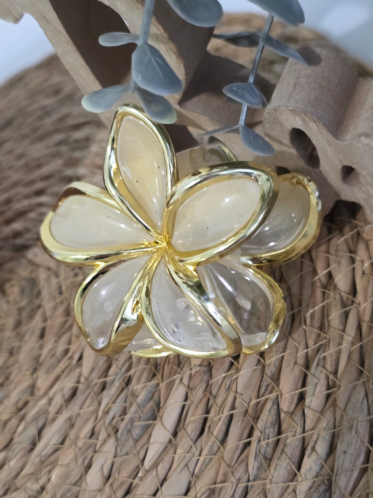 Nos Pinces à Fleur Beige