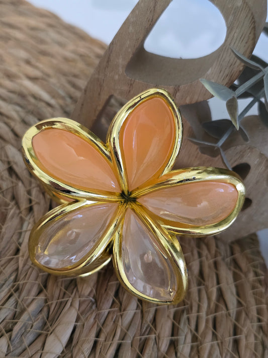 Nos Pinces à Fleur Corail