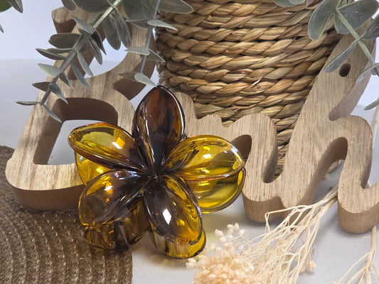 Pince Fleur Jaune Maronné