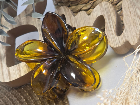 Pince Fleur Jaune Maronné