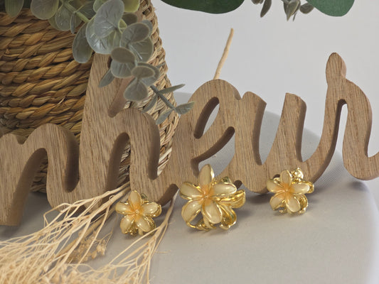 Pince Fleur Beige Doré - Lots de 3