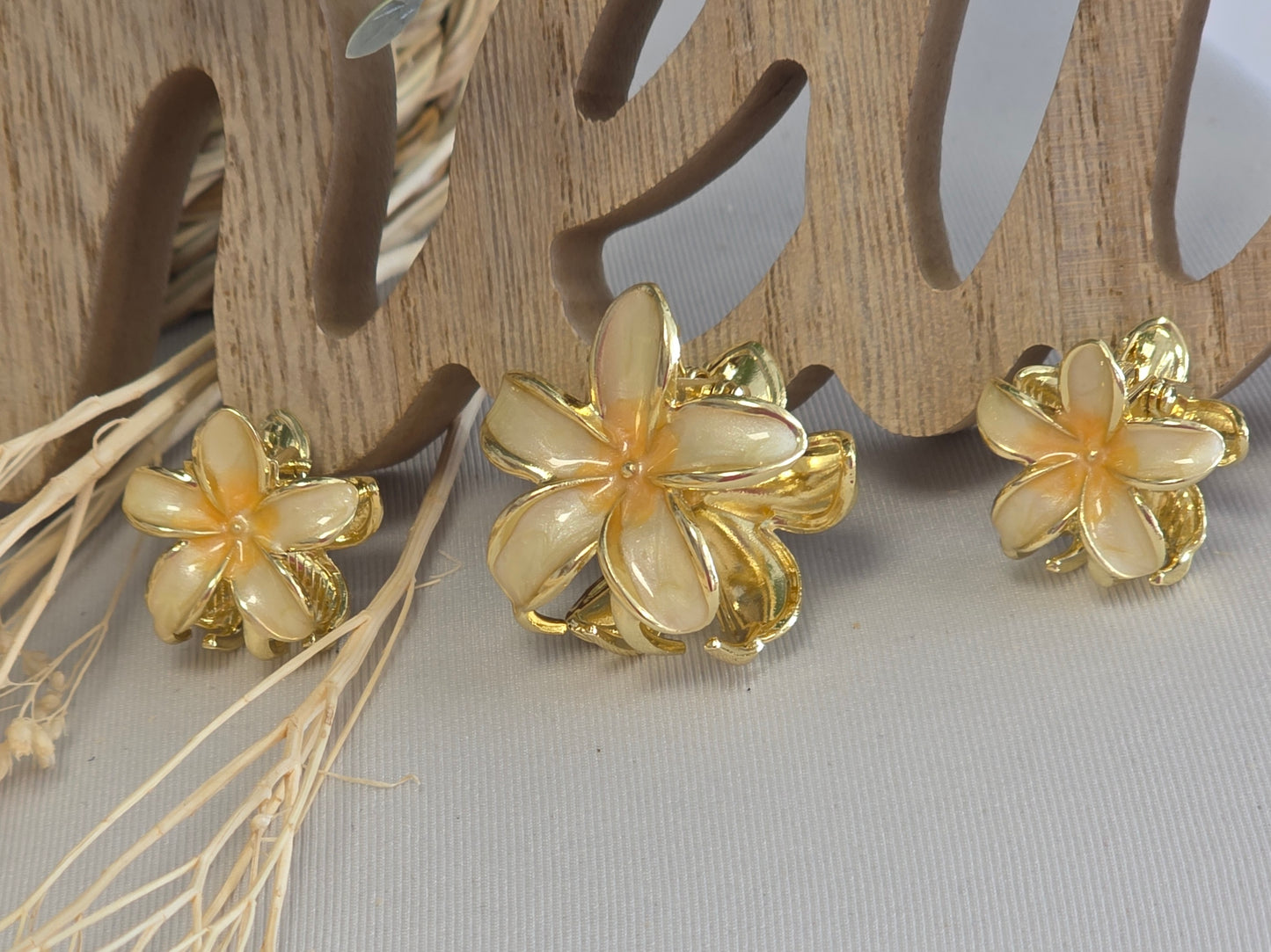 Pince Fleur Beige Doré - Lots de 3