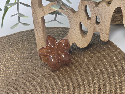 Petite Pince à Cheveux Fleur Marron Transparent