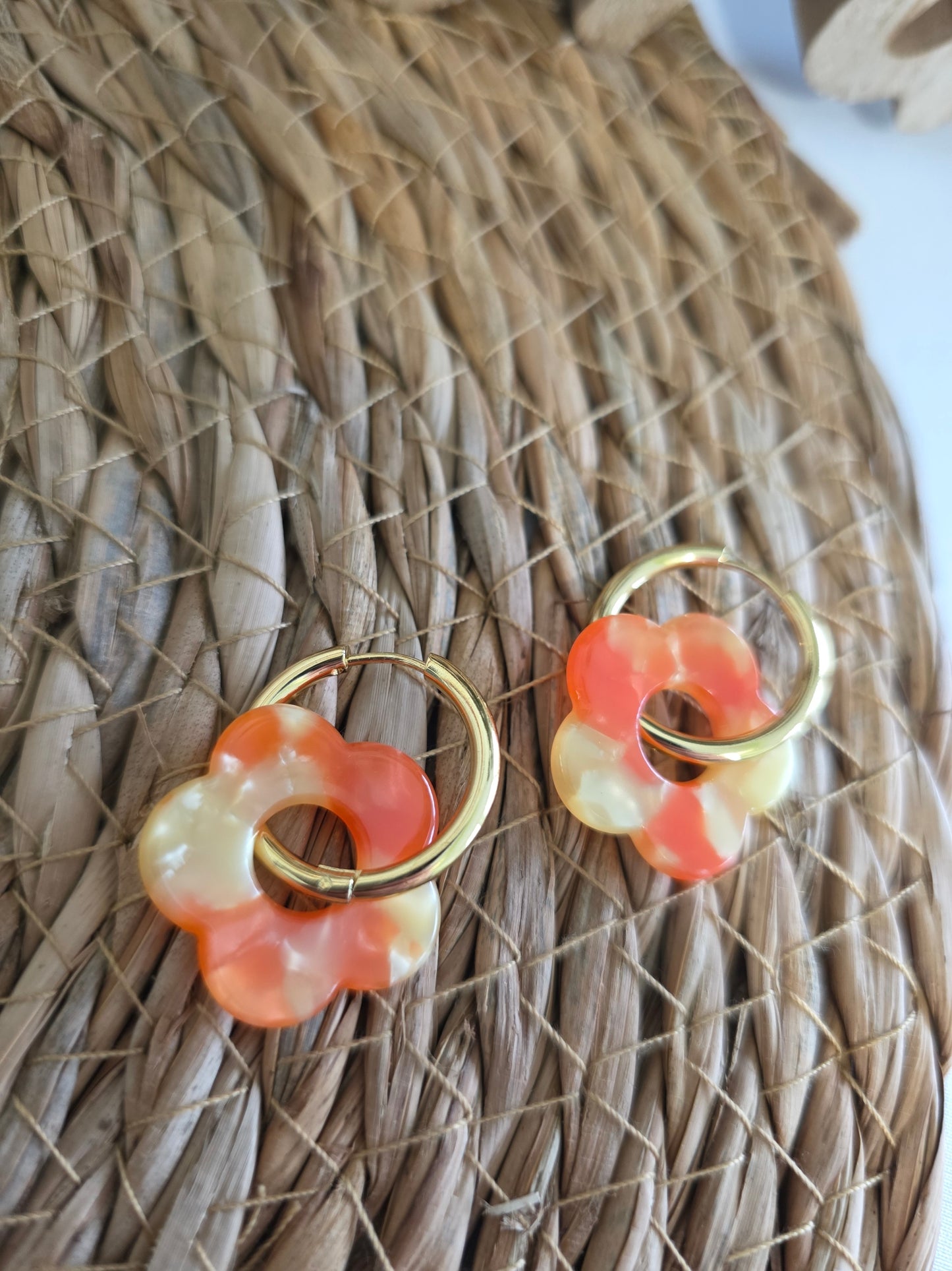 Nos Nicolettes Orangé N°6