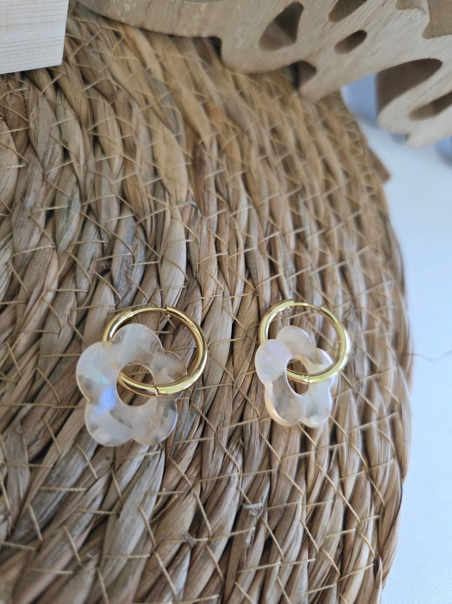 Nos Nicolettes Transparente N°8