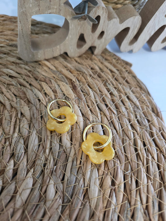 Nos Nicolettes N°11