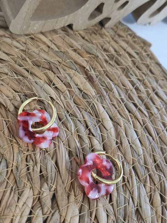 Nos Nicolettes N°31