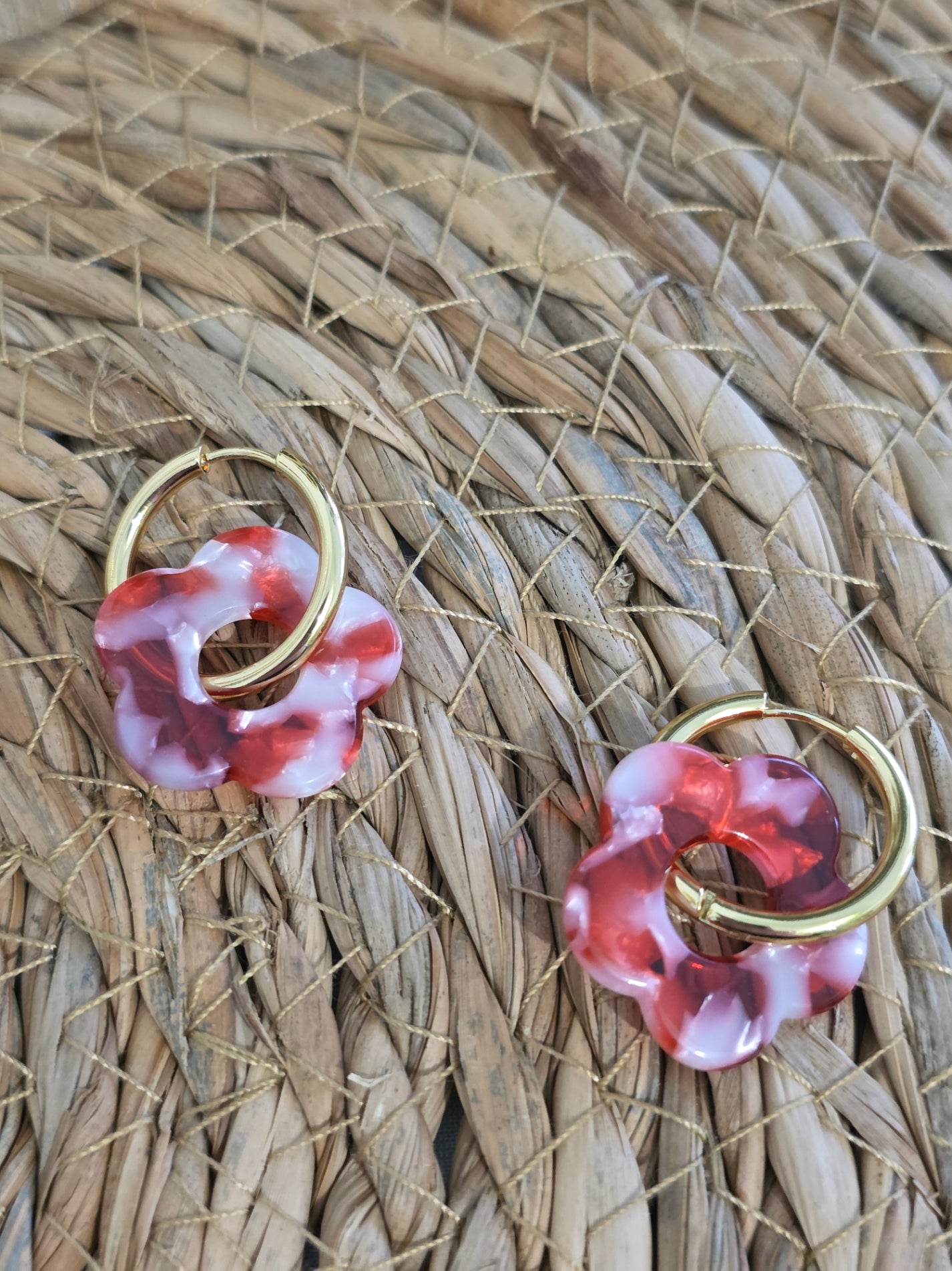 Nos Nicolettes N°31