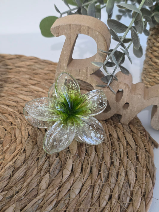 Nos Pinces à Fleur Vert