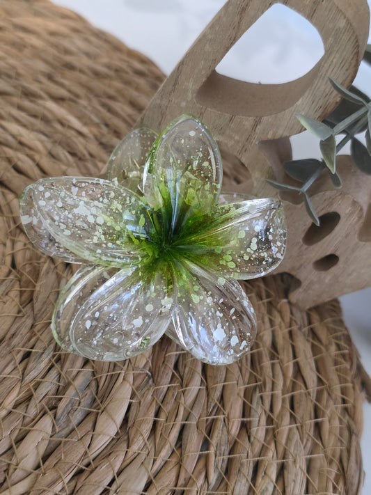 Nos Pinces à Fleur Vert