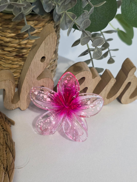 Nos Pinces à Fleur Fuchsia