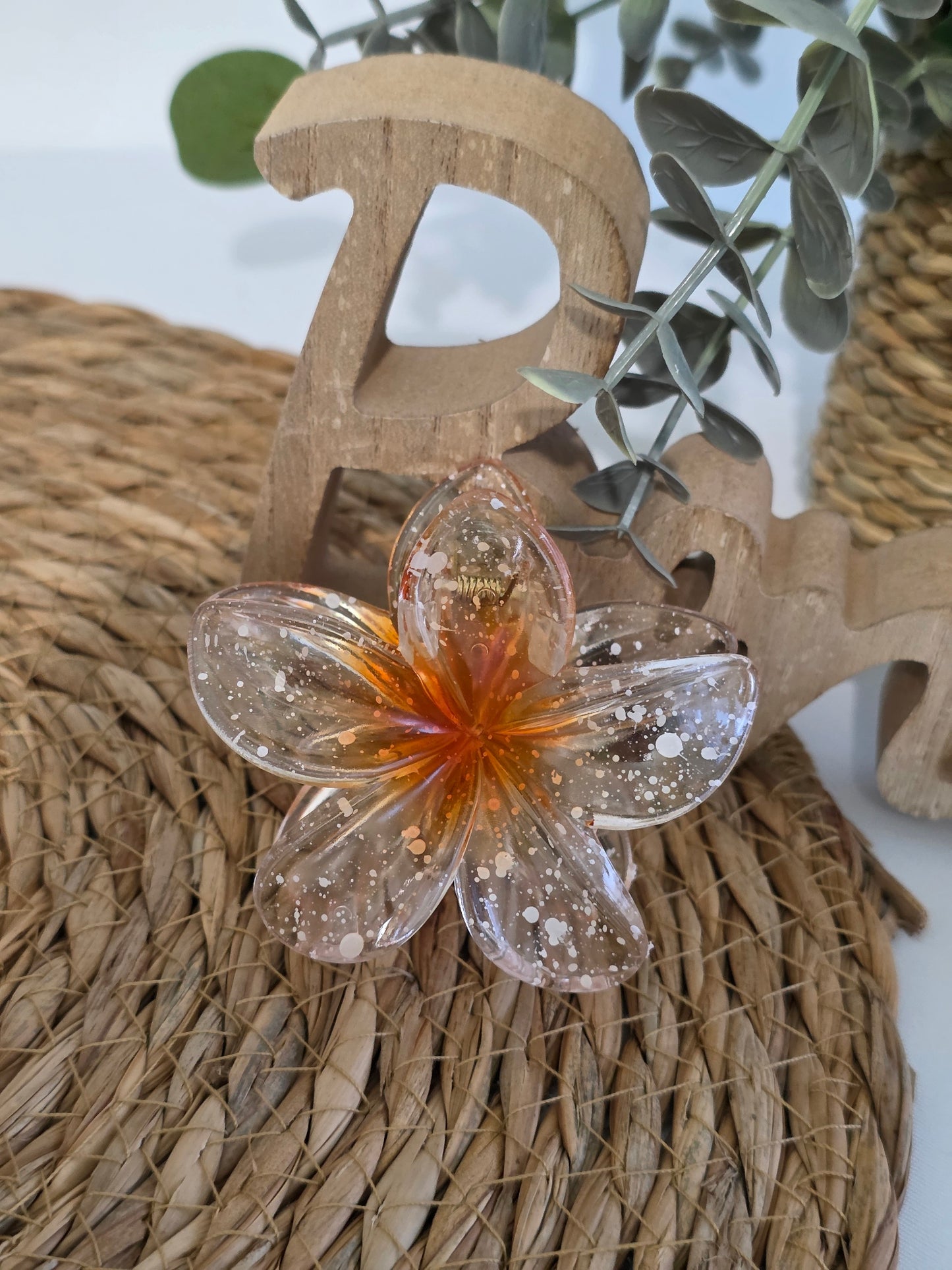 Nos Pinces à Fleur Orange