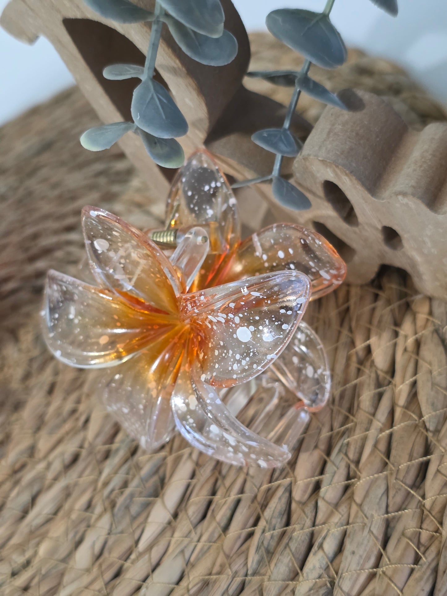 Nos Pinces à Fleur Orange