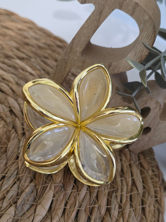 Nos Pinces à Fleur Beige