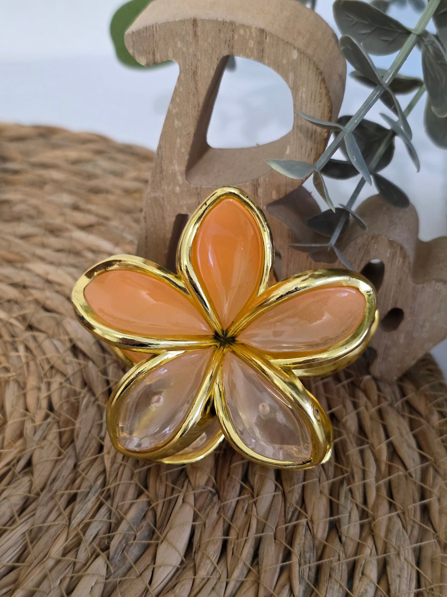 Nos Pinces à Fleur Corail