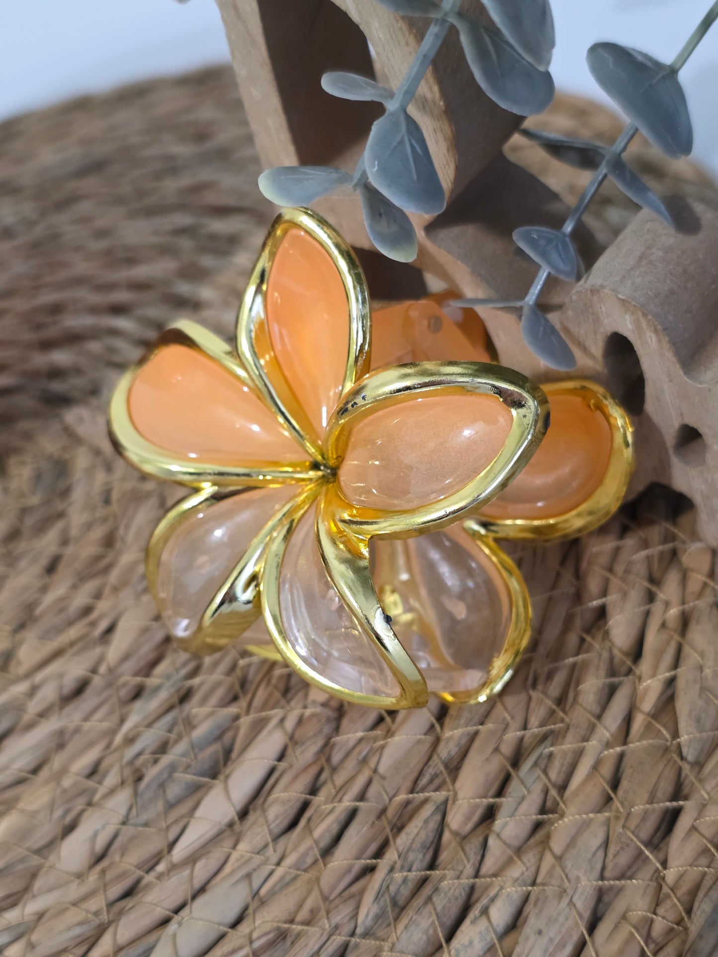 Nos Pinces à Fleur Corail